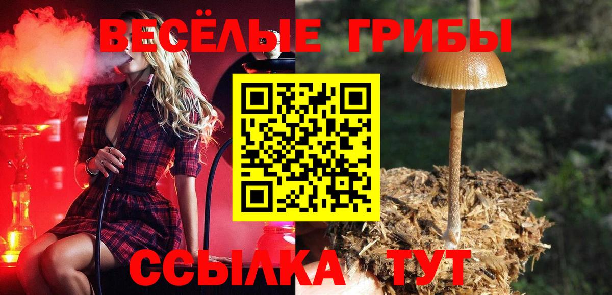 Братск  Псилоцибиновые грибы ЛСД  Вход с VPN 