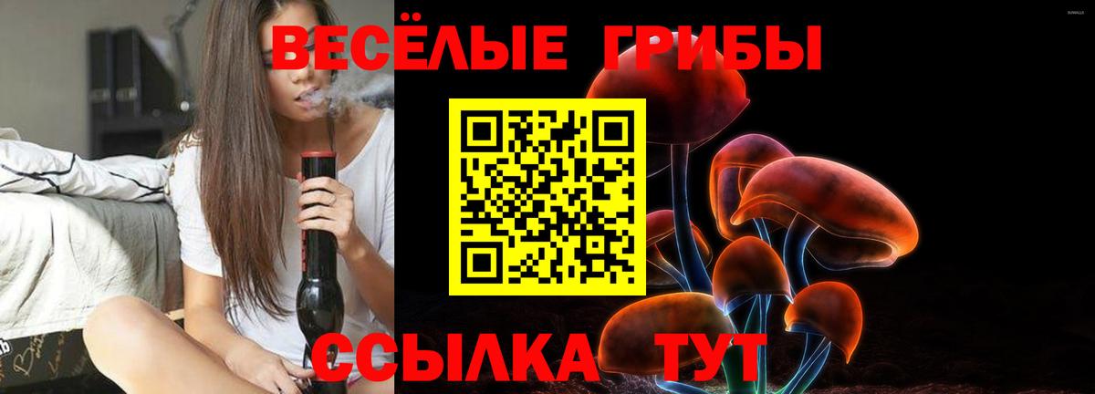 Галлюциногенные грибы ЛСД Братск